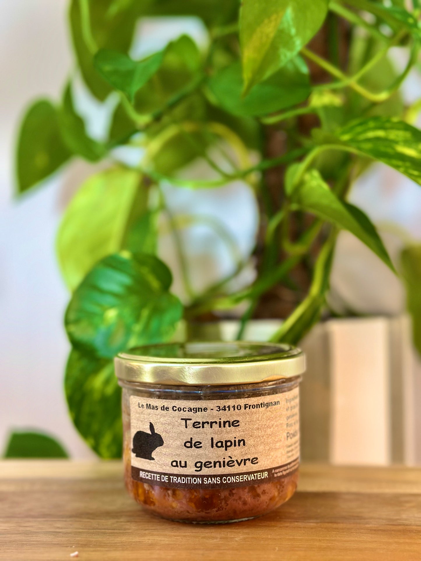 Terrine de Lapin au Genièvre – Saveurs de Cocagne – 180 g